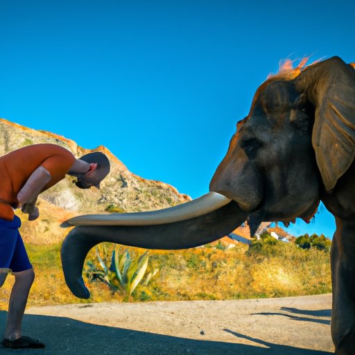 Man vs. Beast: The Unexpected Consequences of Interacting with Wild Animals