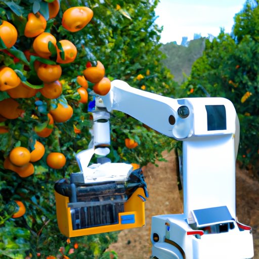 How Orange Orchard Farmers are Adapting to the Use of Robots