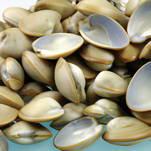 are-clams-good-for-you-exploring-the-health-benefits-of-eating-clams