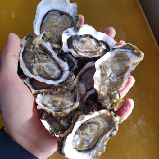 Understanding the Health Benefits of Oyster Consumption