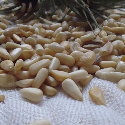 Exploring the Health Benefits of Pine Nuts