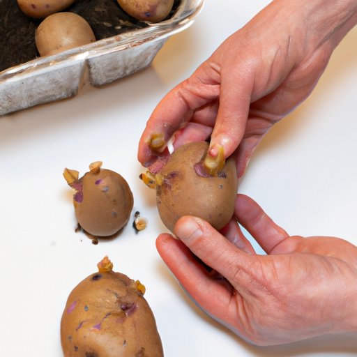 Tips for Growing Sprouted Potatoes at Home