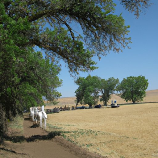 A Retrospective Look At The Oregon Trail: Exploring Its History and Legacy