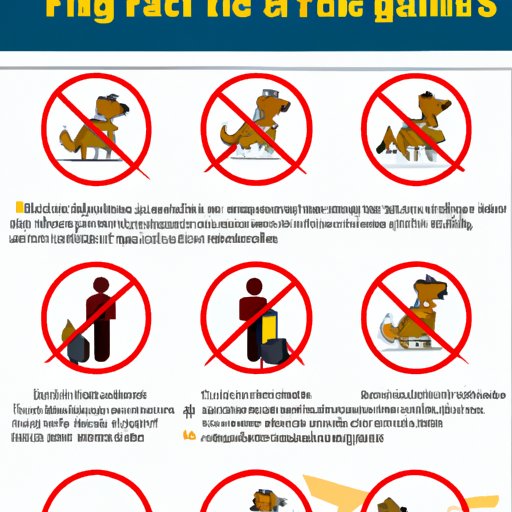 Rules and Regulations of Flying with Pets