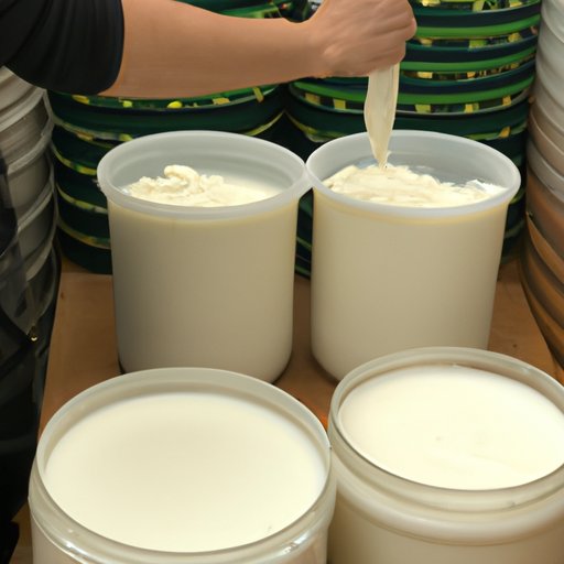 Understanding the Fermentation Process of Greek Yogurt