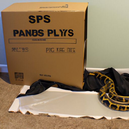 A Guide to Setting Up an Enclosure for a Large Ball Python