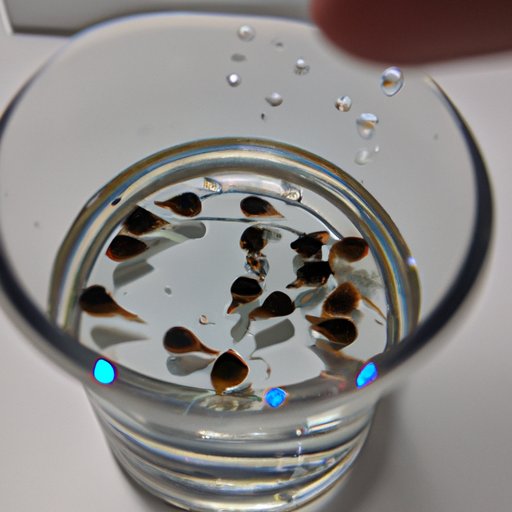 Exploring the Growth Potential of Guppies