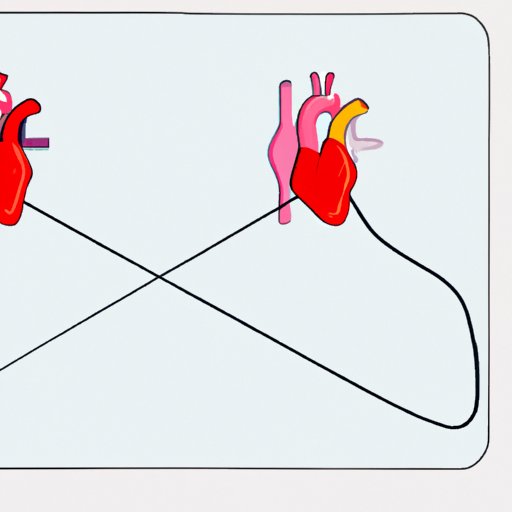 An Animated Look at How Blood Flows Through the Heart