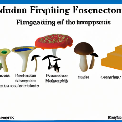 Different Types of Fungi and Nutrition Acquisition