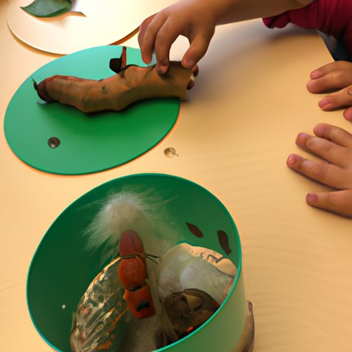 Investigating How Caterpillars Select the Right Materials for their Cocoon