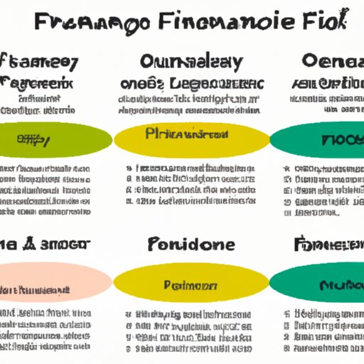 Overview of the Different Financing Options Available