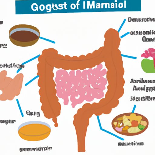 how-does-food-travel-through-the-body-exploring-the-digestive-system