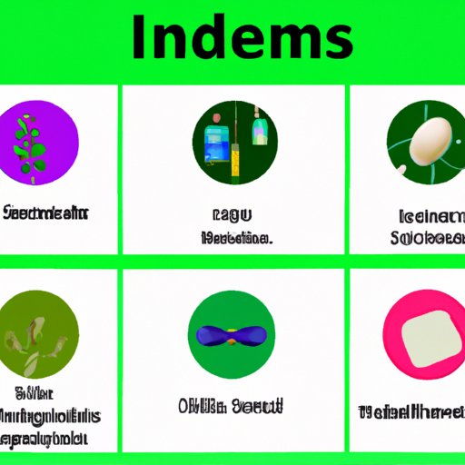 Understanding the Different Forms of Immodium and Their Uses