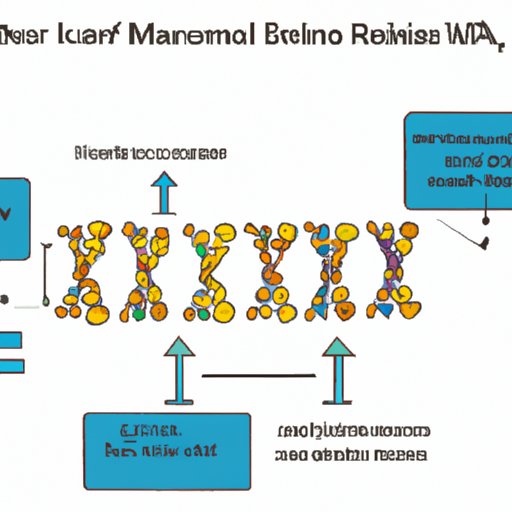 Understanding the Mechanism of mRNA Vaccines