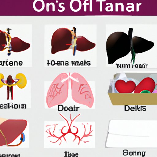 Types of Organs and Tissues That Can Be Donated