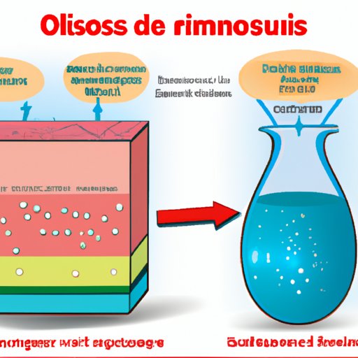 Uncovering the Mysteries of Osmosis: How it Functions and its Benefits