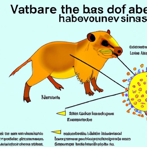 Overview of the Rabies Virus