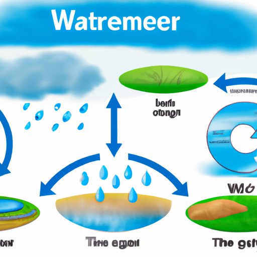 The Water Cycle: An Overview of Its Components