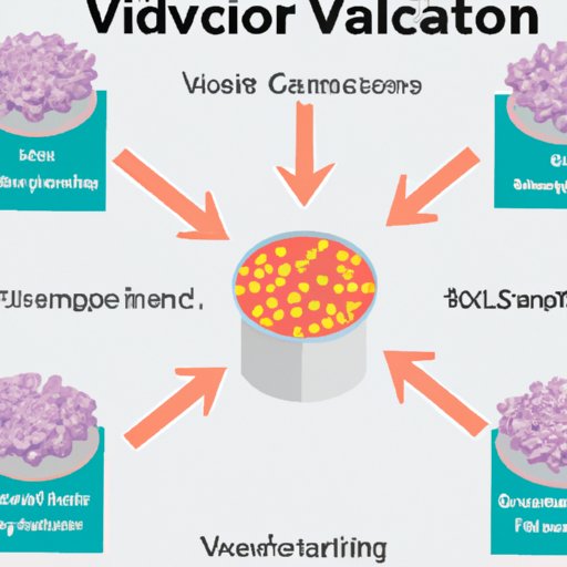 Exploring How Valacyclovir Works to Treat Viral Infections