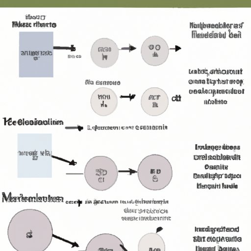 Understanding the Incubation Period of Mono