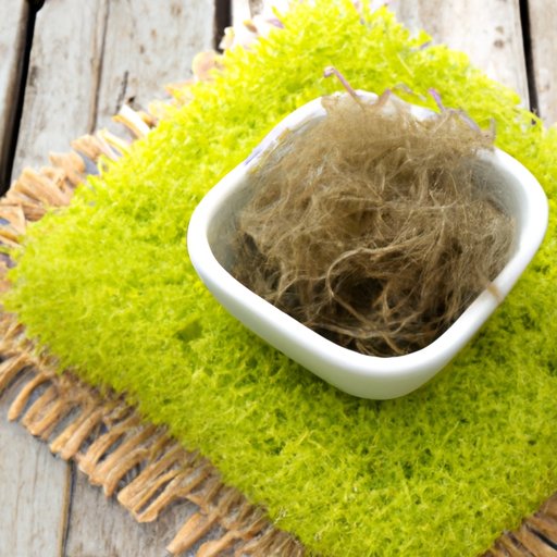 Unlocking the Nutritional Benefits of Sea Moss: An Overview of Its Mineral Content