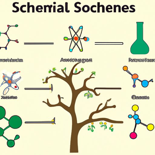 The Branches of Science and Their Applications