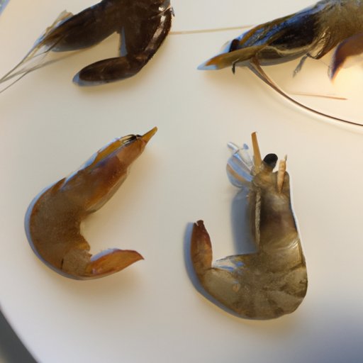 Exploring Different Types of Shrimp and Their Uses