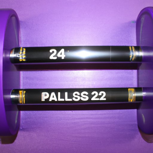 A Comparison of Planet Fitness Bar Weights