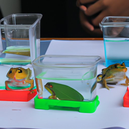 Exploring the Price Range of Pet Frogs