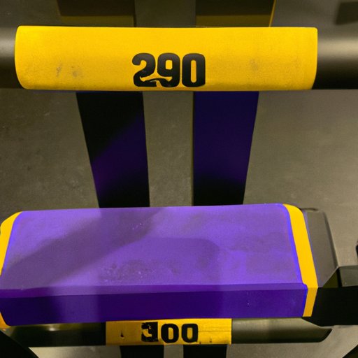 Get to Know Your Gym Gear: Planet Fitness Bars and Their Weights