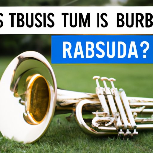 What You Need to Know About Tuba Costs