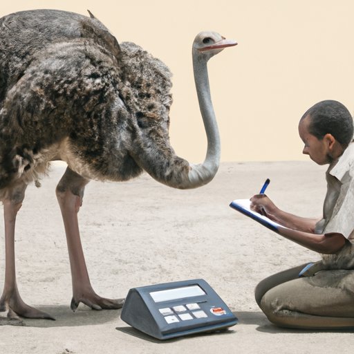 Calculating the Total Expenditure of an Ostrich