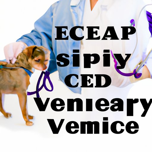 Tips for Finding Affordable Emergency Vet Care