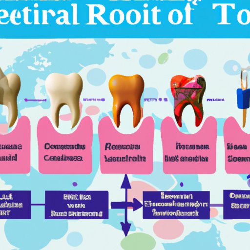 Breaking Down the Different Components of a Root Canal Procedure and Their Costs