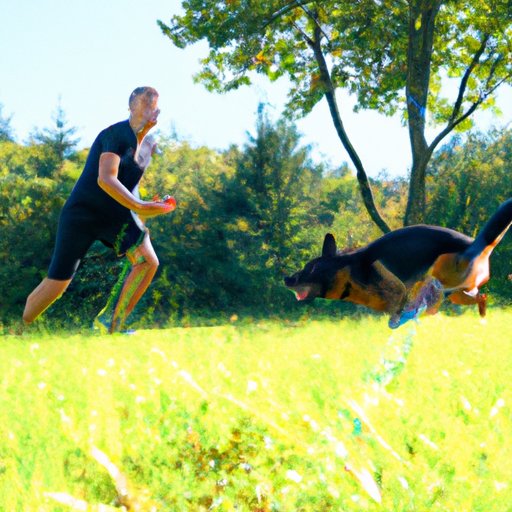 Creating an Exercise Routine for Your German Shepherd