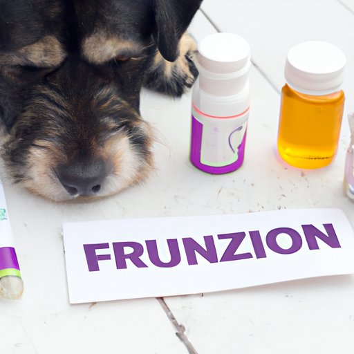 Alternatives to Fluconazole for Treating Fungal Infections in Dogs