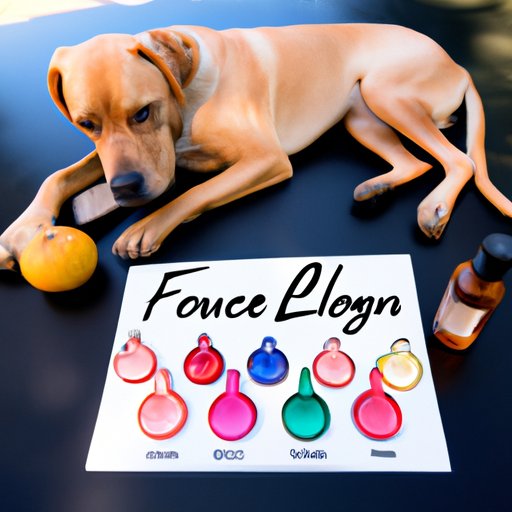 Understanding the Dosage of Fluconazole for Dogs