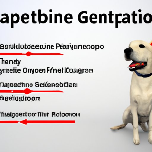 Exploring the Benefits and Risks of Giving Gabapentin to Canines