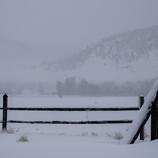 A Look at Average Snowfall in Montana