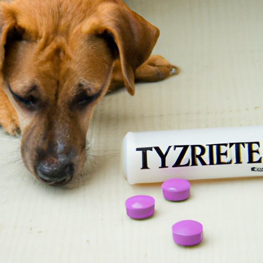 Exploring the Dosage of Zyrtec for Dogs