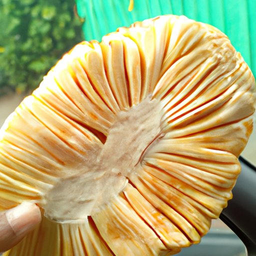 The Health Benefits of Eating Jackfruit