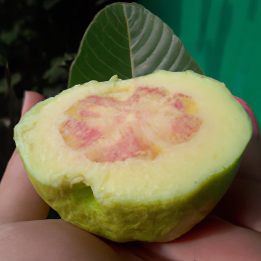 Benefits of Eating a Mexican Guava