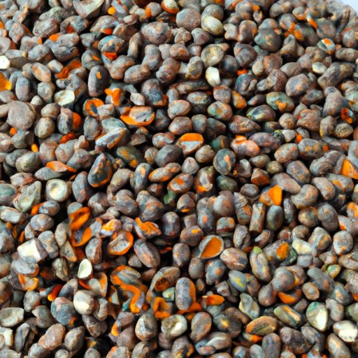 Roast Papaya Seeds for a Nutty Treat