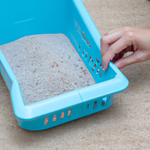 Clean the Litter Box Regularly