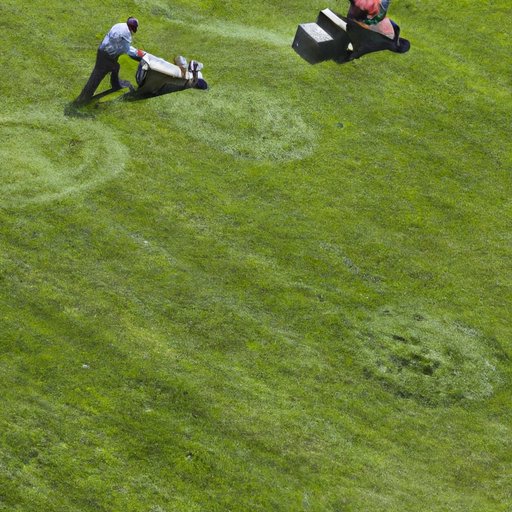 Overview of the Lawn Mowing Business