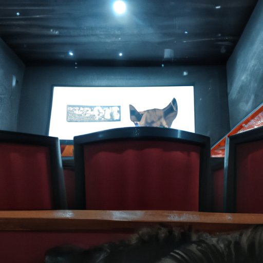 Visit a Local Movie Theater to Watch Dog the Movie