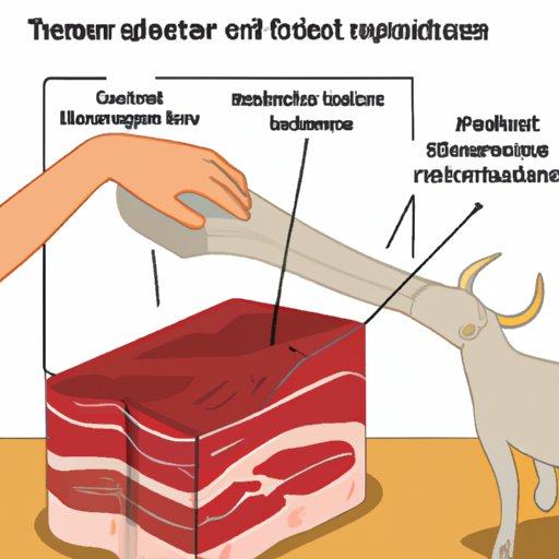 Investigating the Link Between Beef Tendon and Joint Health