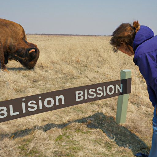 Examining the Environmental Impact of Eating Bison Compared to Beef