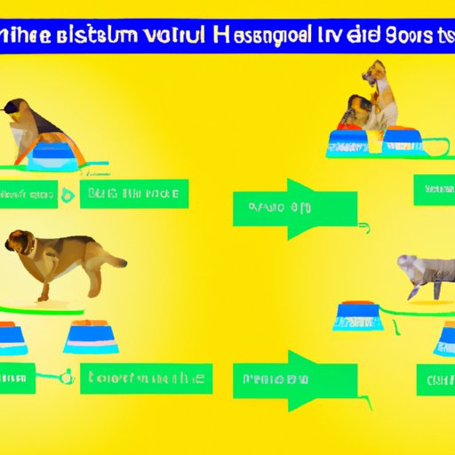 How to Transition Pets to Hills Science Diet