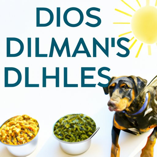 How to Choose the Best Dog Food: A Look at Hills Science Diet